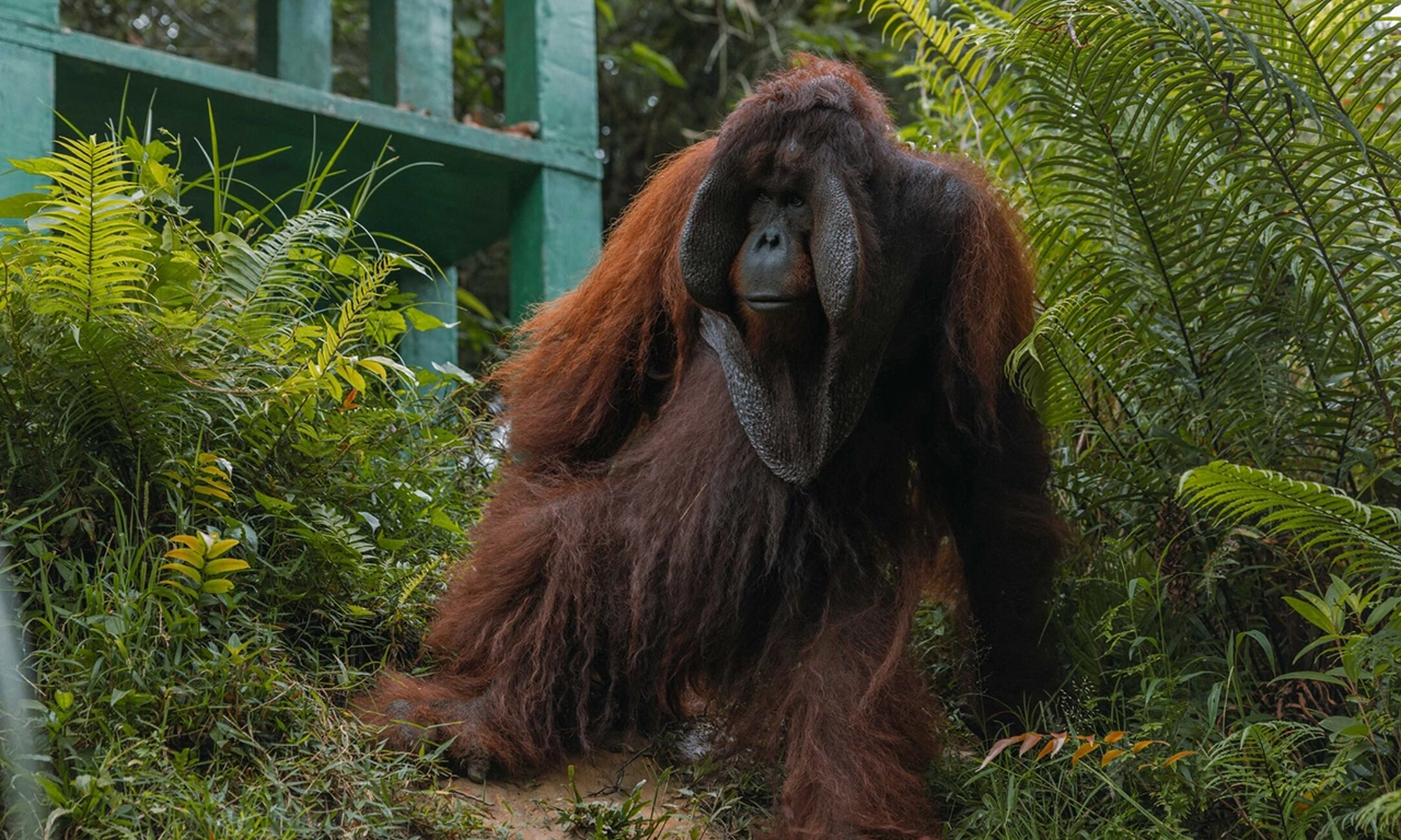 Volontieraufenthalt mit BOS Schweiz  - Beosolar GmbH